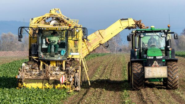 Tecnologia em Segurança Alimentar: Inovações Que Transformam a Cadeia de Alimentos