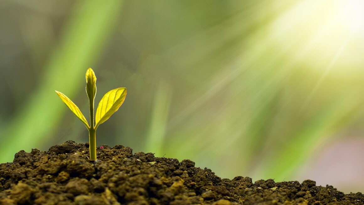 Balcão das Finanças: Como Encontrar Contatos e Horários das Repartições