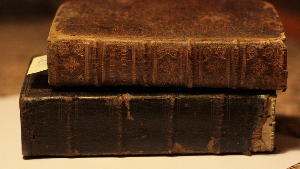 Guia Completo para Identificar Boletos Falsos e Evitar Golpes de Pagamento